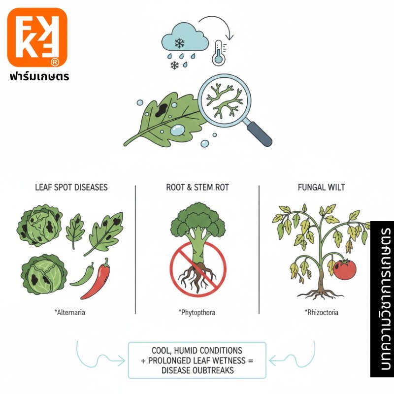 รูปภาพประกอบ