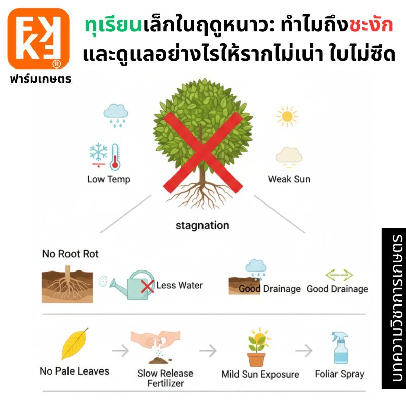 รูปภาพประกอบ