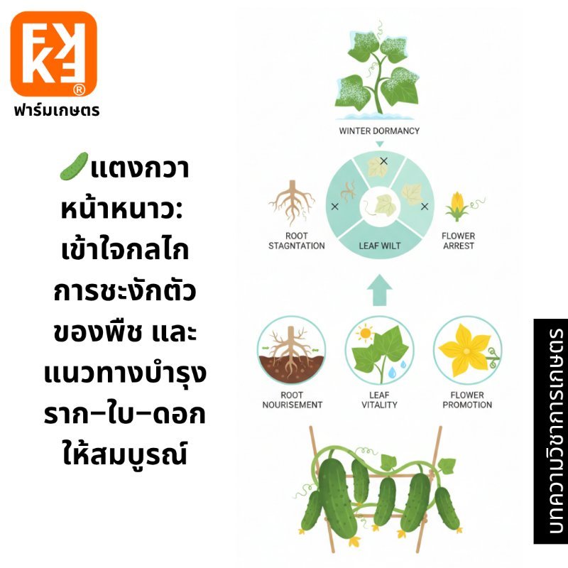 รูปภาพประกอบ