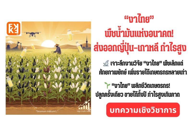 รูปภาพประกอบ