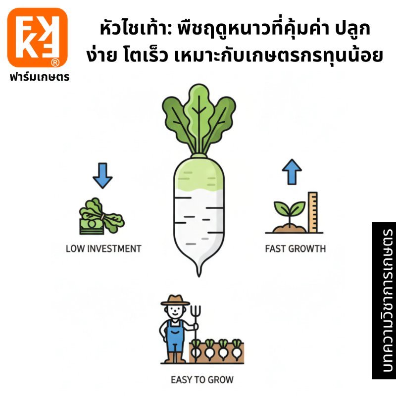 รูปภาพประกอบ