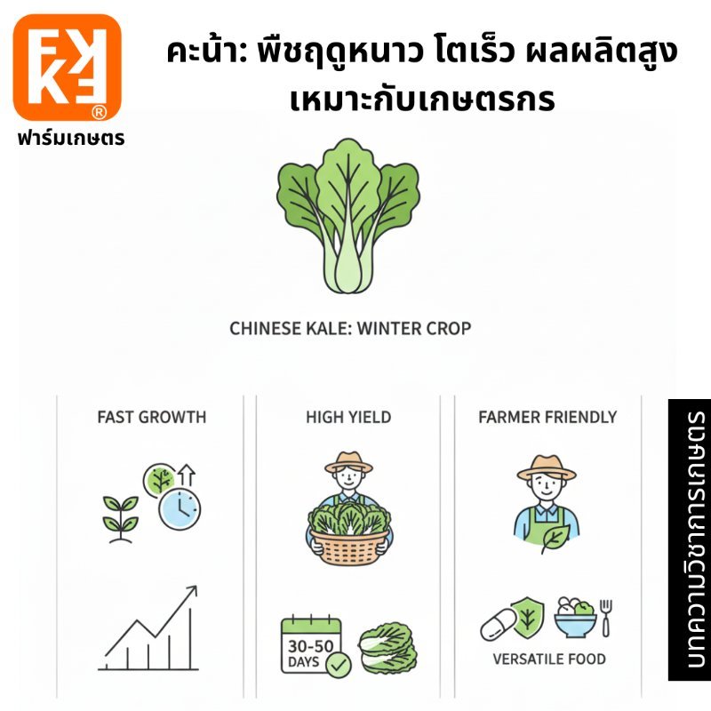 รูปภาพประกอบ