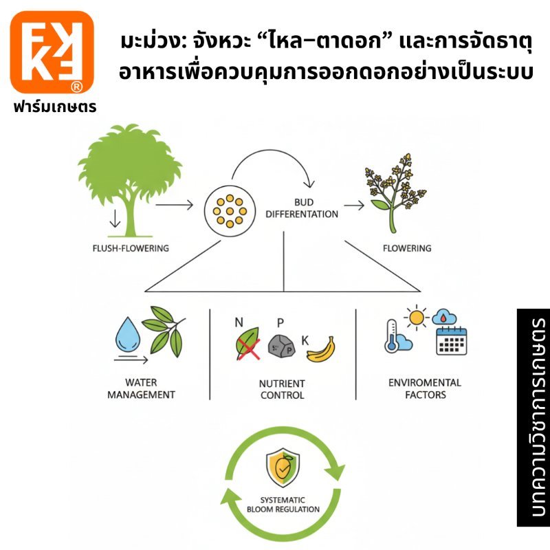 รูปภาพประกอบ