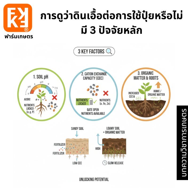 รูปภาพประกอบ