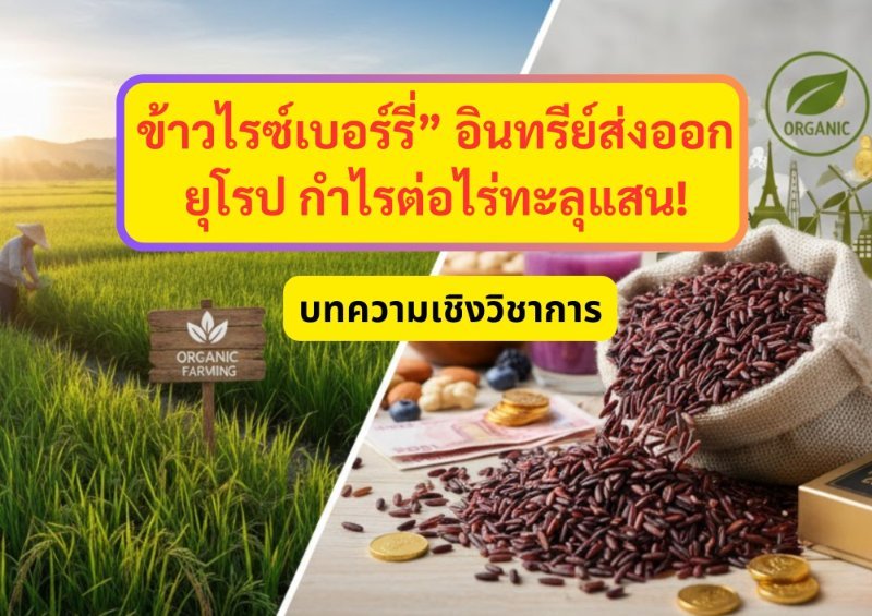 รูปภาพประกอบ