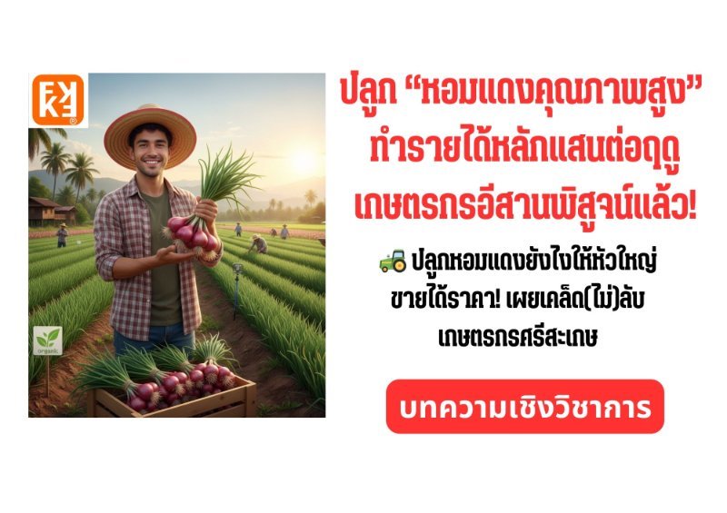 รูปภาพประกอบ