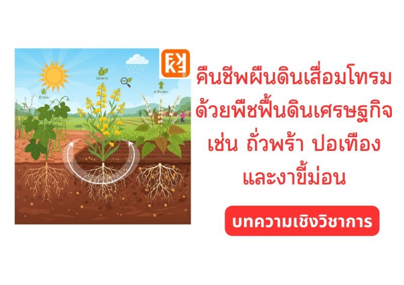 รูปภาพประกอบ