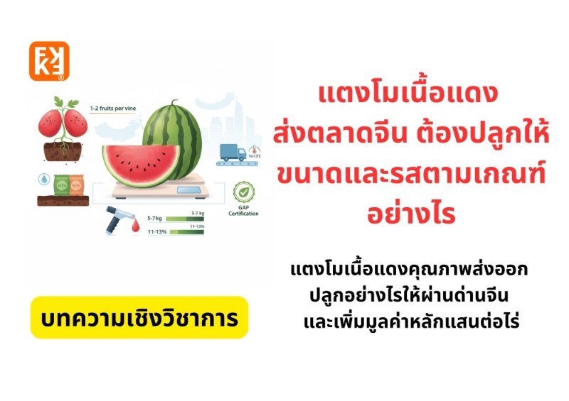 รูปภาพประกอบ