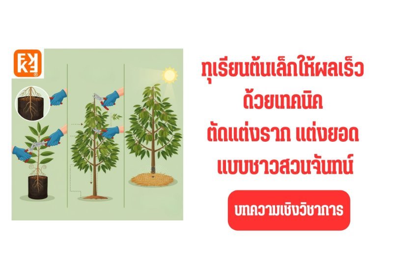 รูปภาพประกอบ