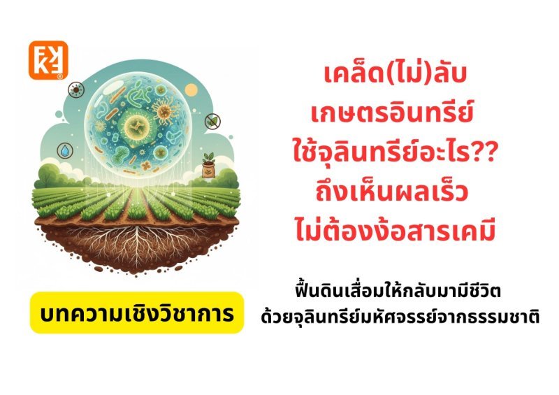 รูปภาพประกอบ