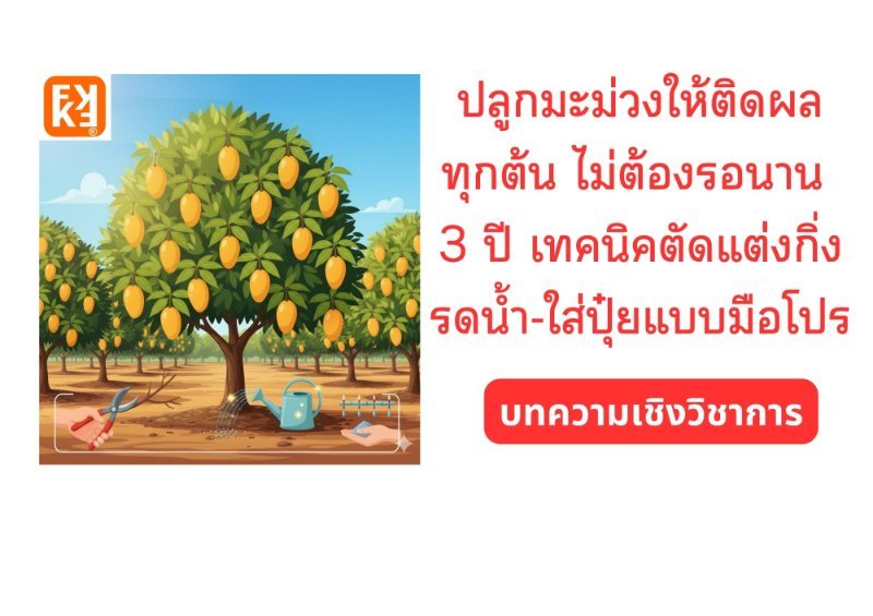 รูปภาพประกอบ