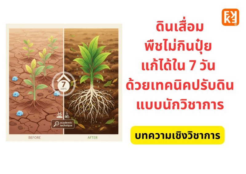 รูปภาพประกอบ