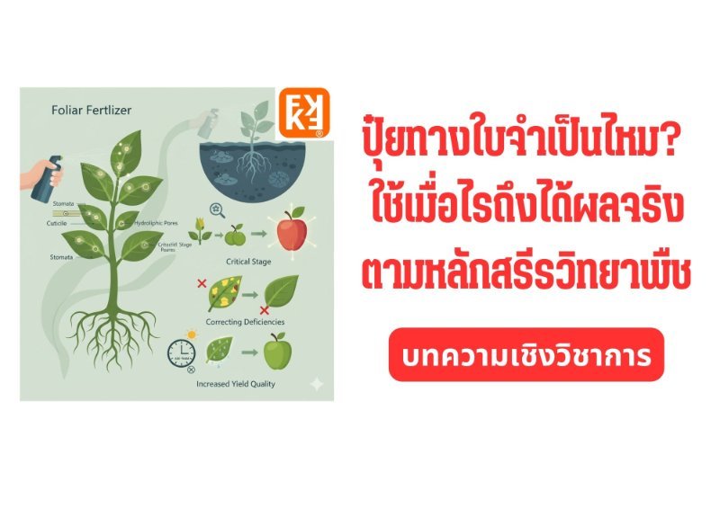 รูปภาพประกอบ