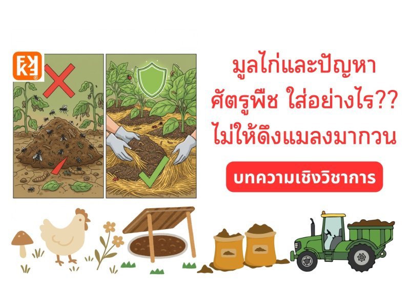 รูปภาพประกอบ