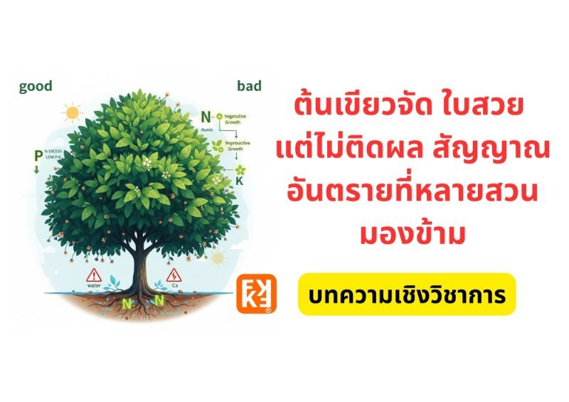 รูปภาพประกอบ