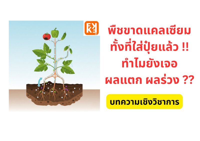 รูปภาพประกอบ