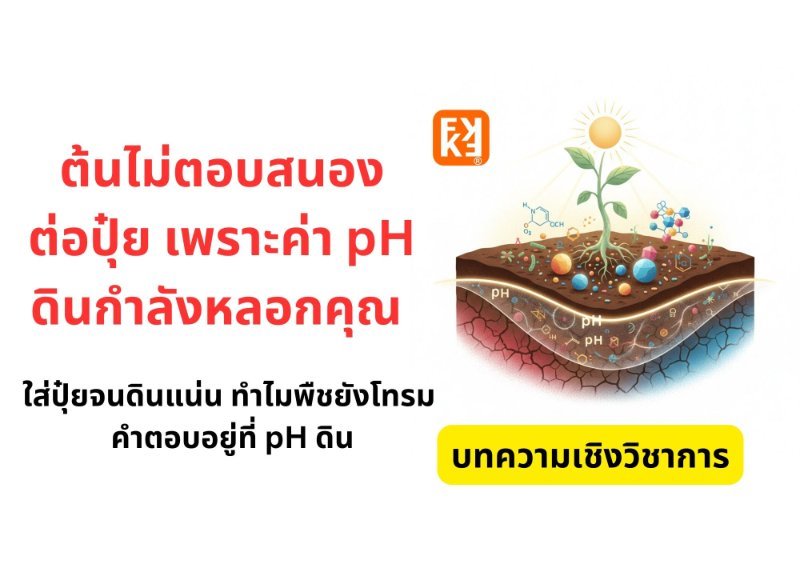 รูปภาพประกอบ