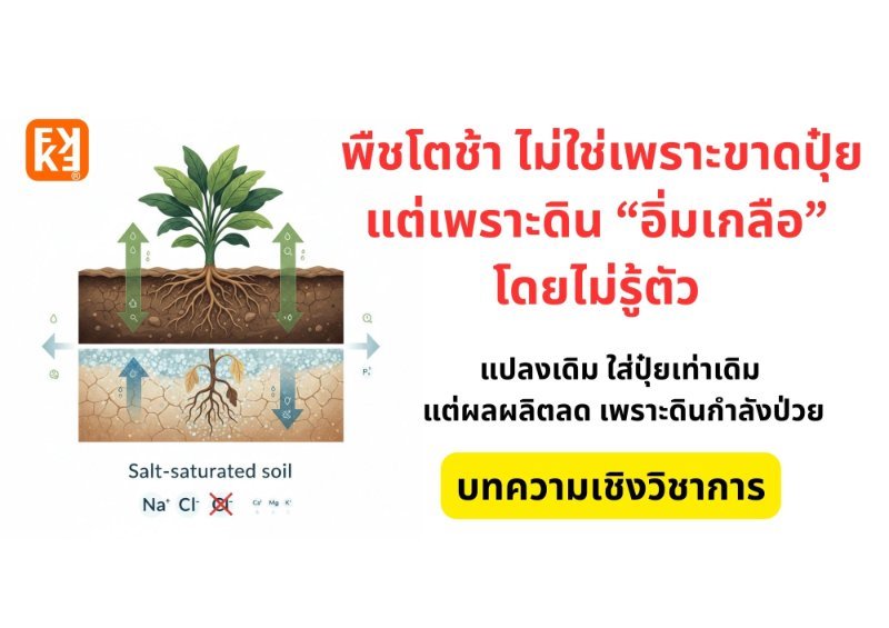 รูปภาพประกอบ