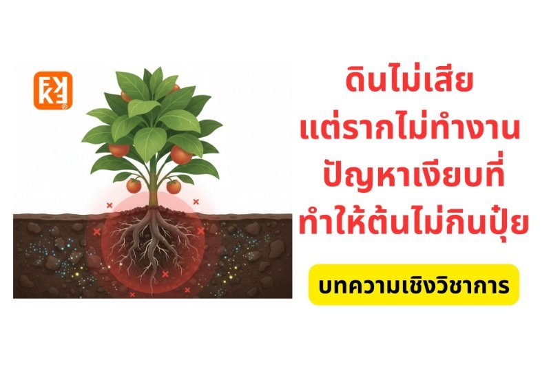 รูปภาพประกอบ