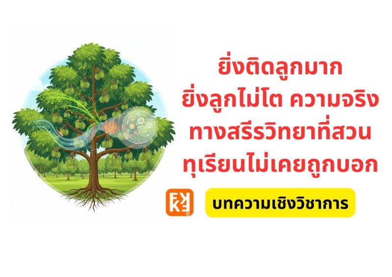 รูปภาพประกอบ