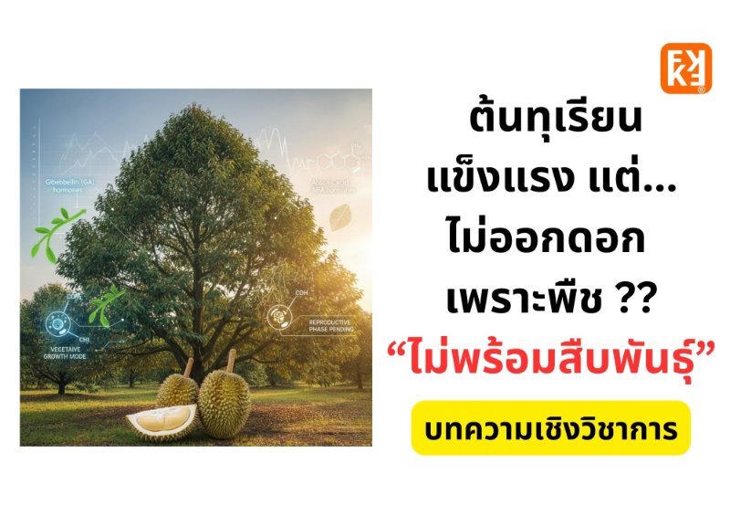 รูปภาพประกอบ