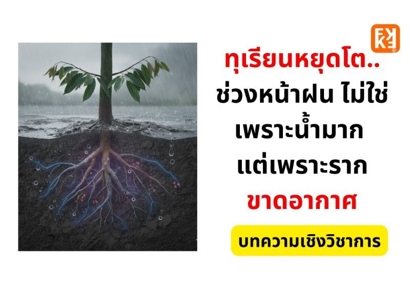 รูปภาพประกอบ