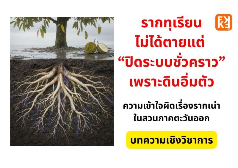 รูปภาพประกอบ