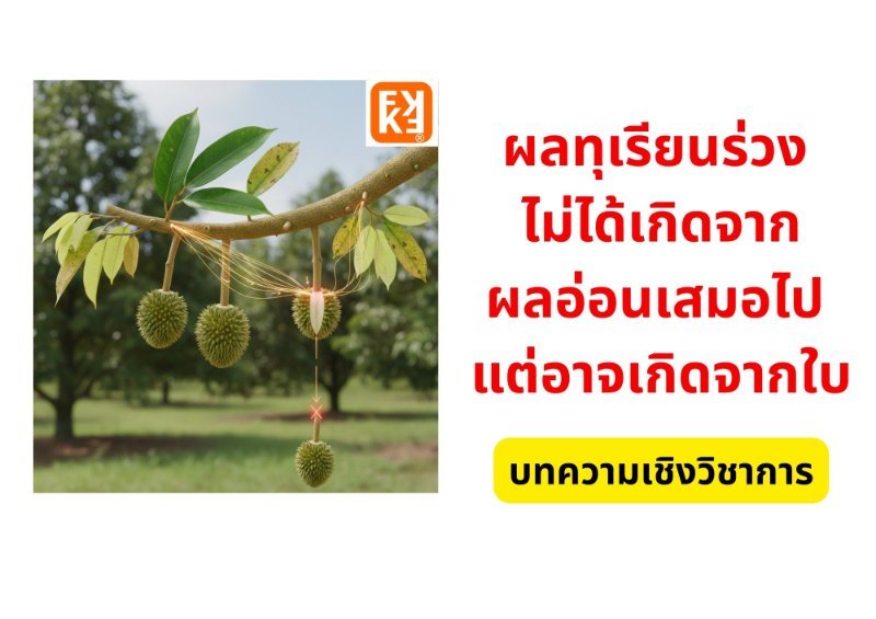 รูปภาพประกอบ