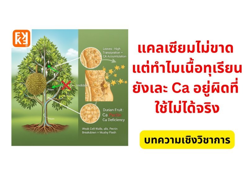 รูปภาพประกอบ