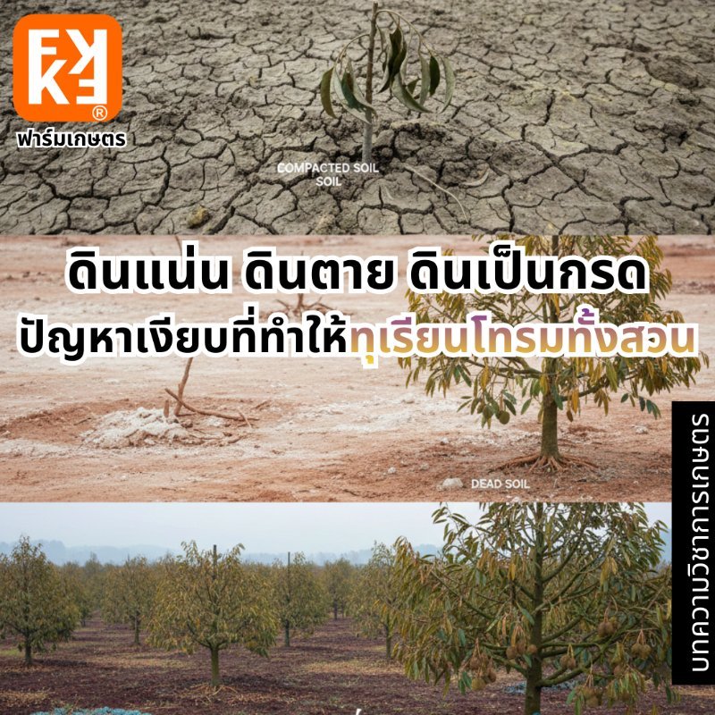 รูปภาพประกอบ