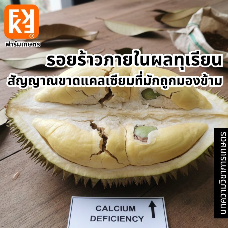 รูปภาพประกอบ