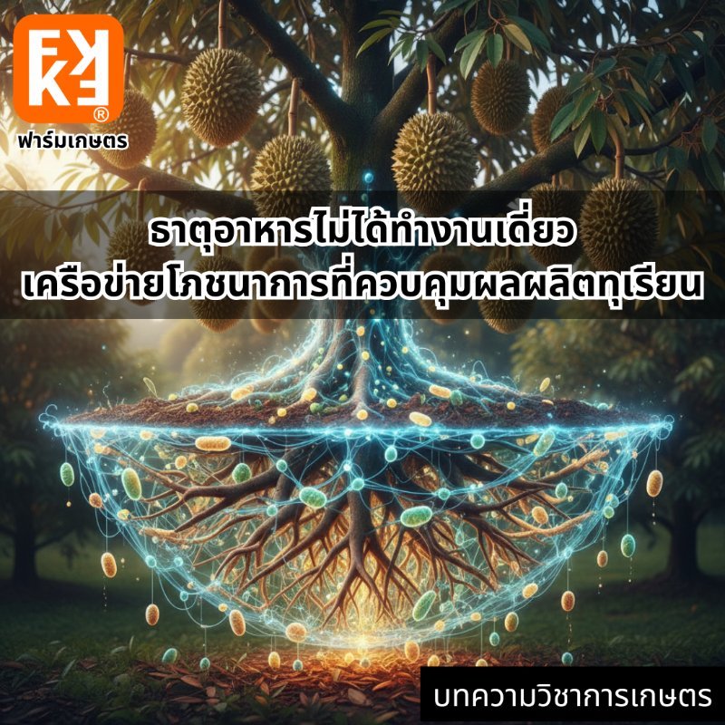 รูปภาพประกอบ