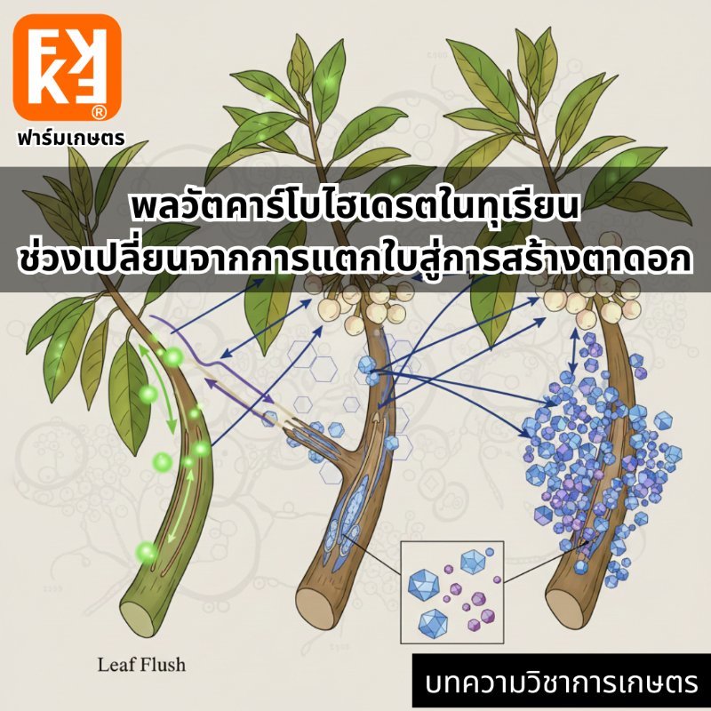 รูปภาพประกอบ