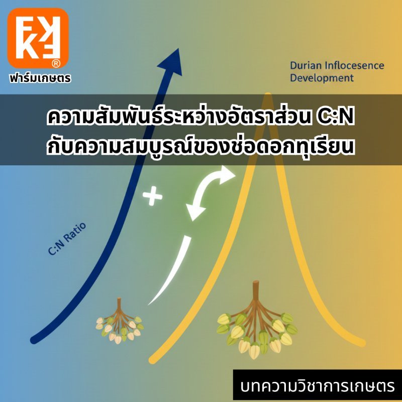 รูปภาพประกอบ