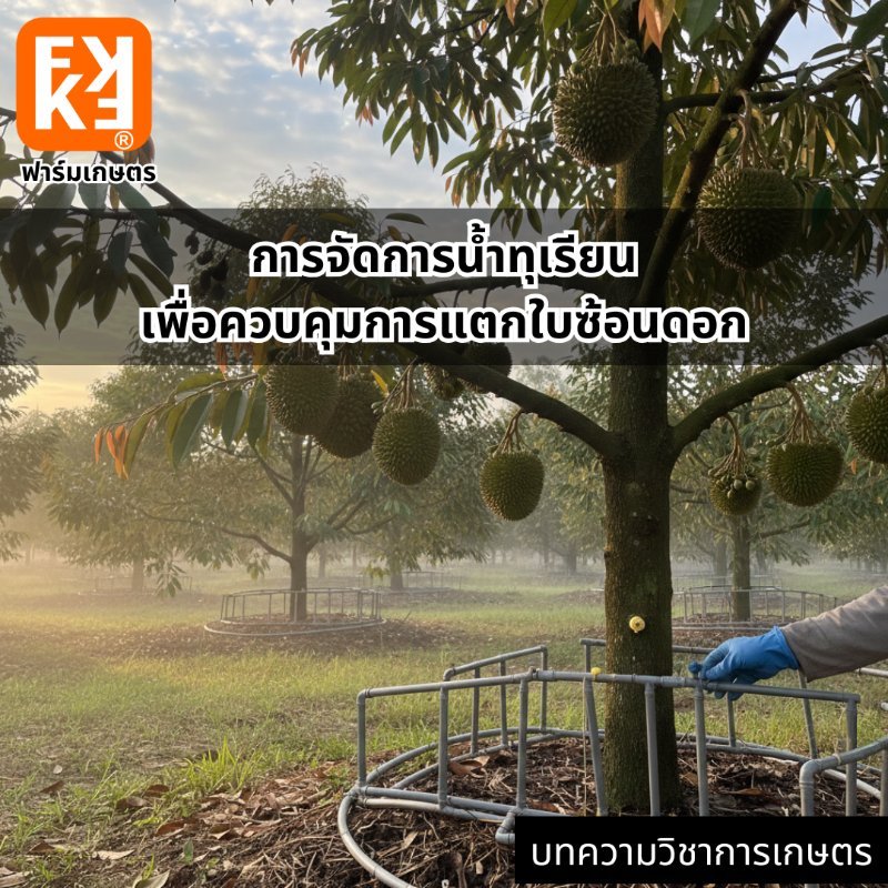 รูปภาพประกอบ