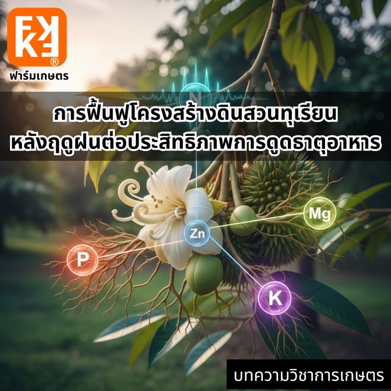 รูปภาพประกอบ