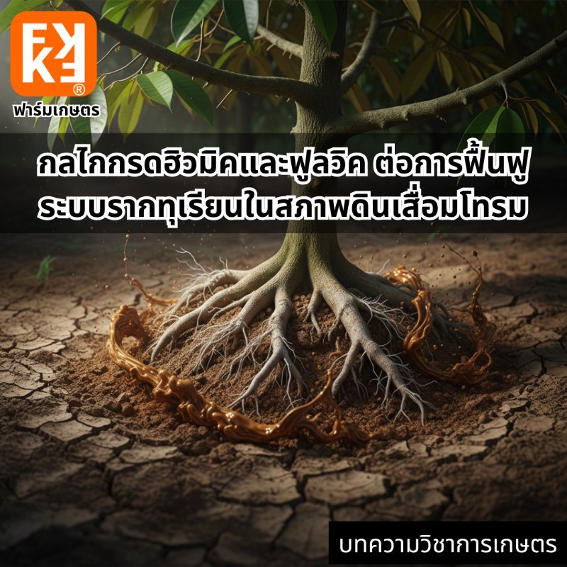 รูปภาพประกอบ