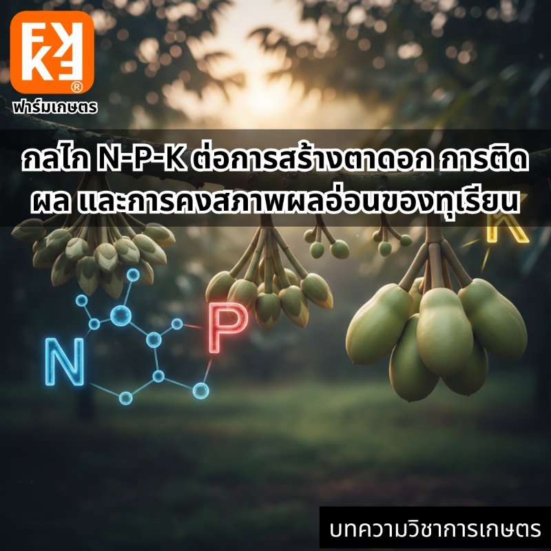 รูปภาพประกอบ