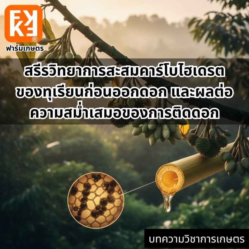 รูปภาพประกอบ