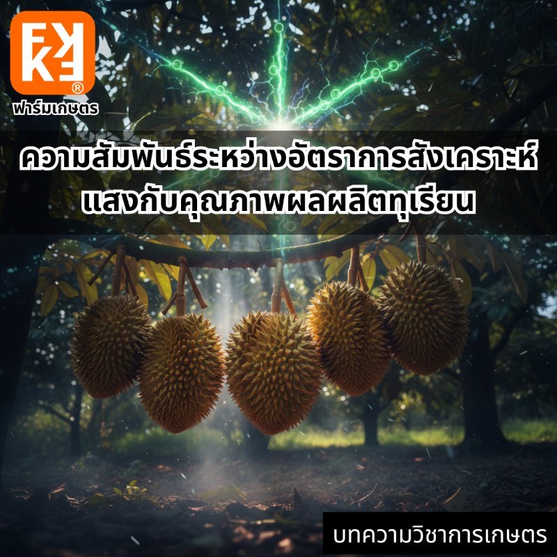 รูปภาพประกอบ