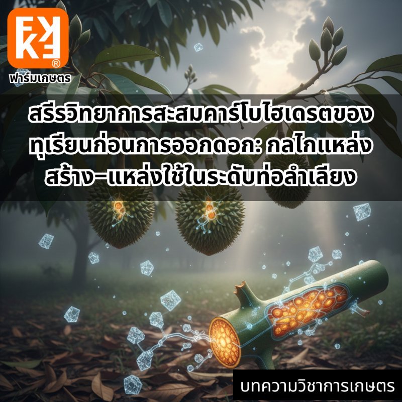 รูปภาพประกอบ