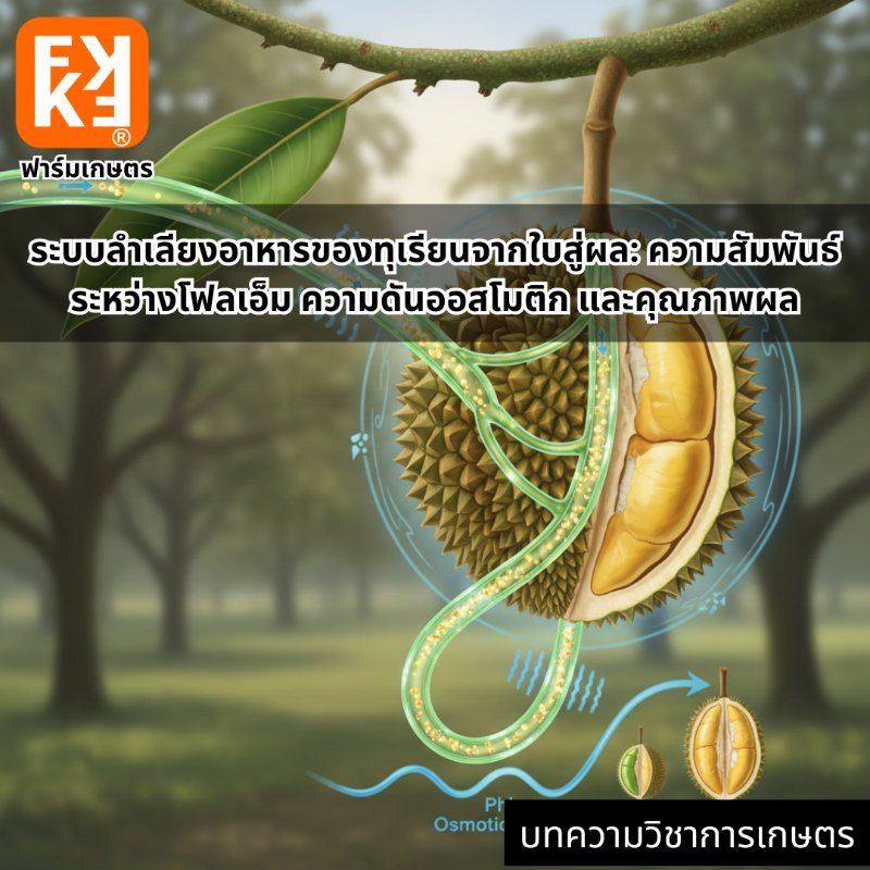 รูปภาพประกอบ