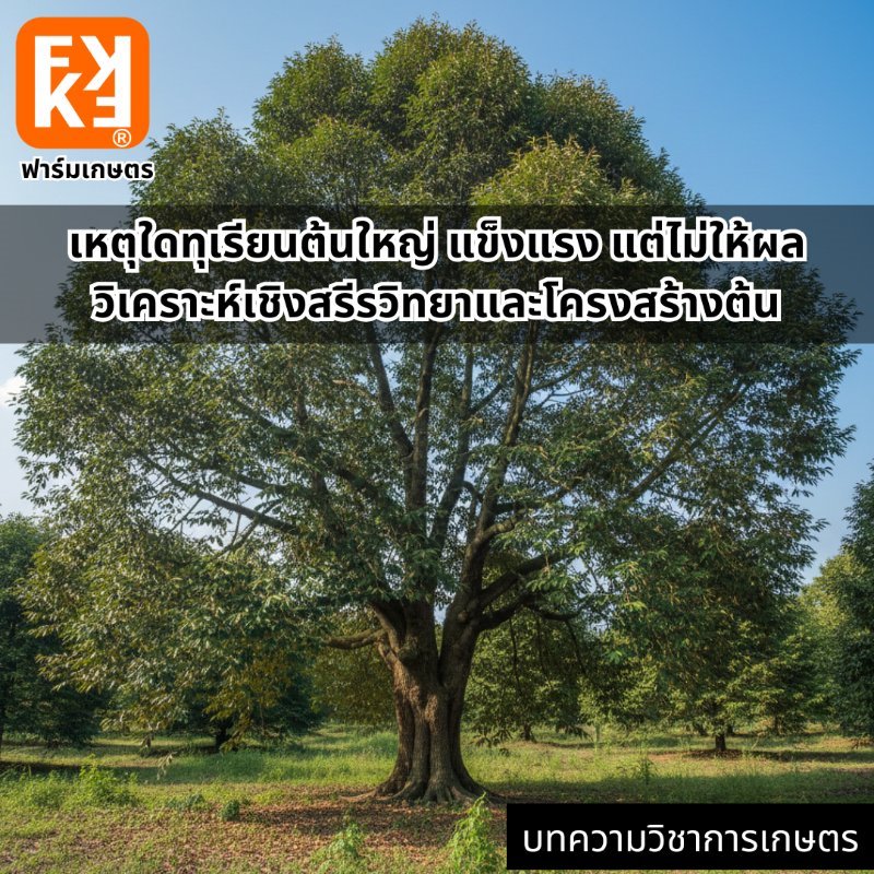 รูปภาพประกอบ