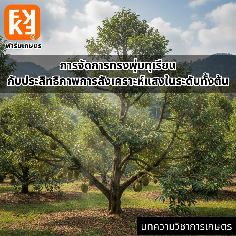 รูปภาพประกอบ