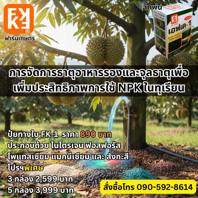 รูปภาพประกอบ