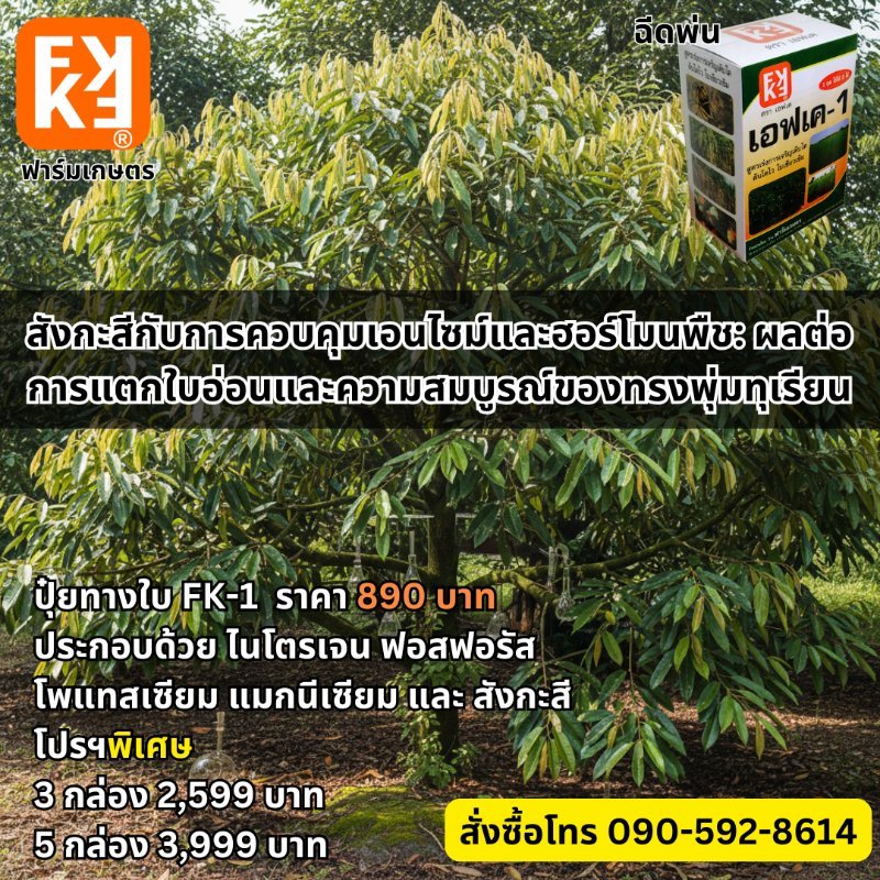 รูปภาพประกอบ