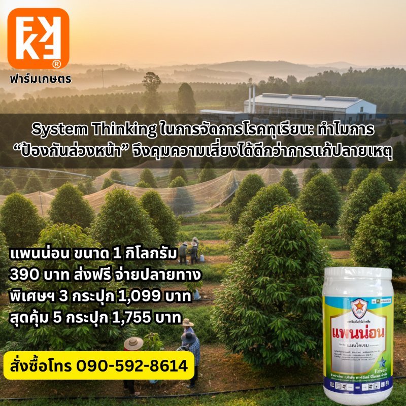 รูปภาพประกอบ