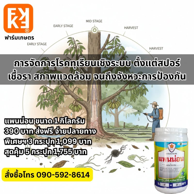 รูปภาพประกอบ