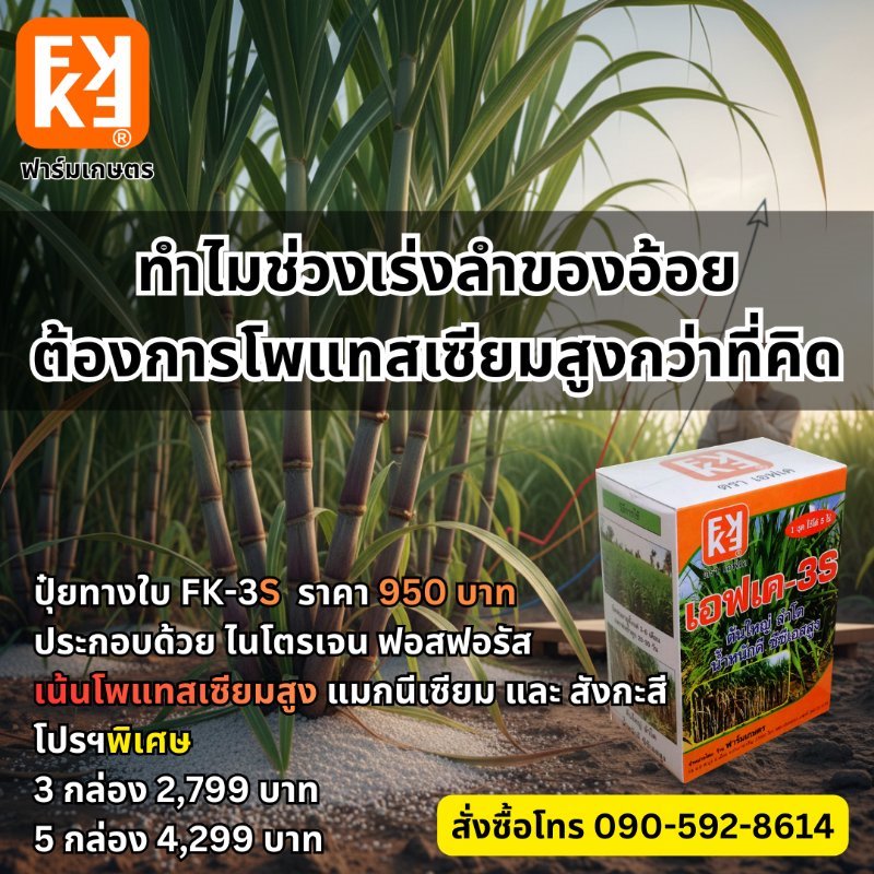 รูปภาพประกอบ