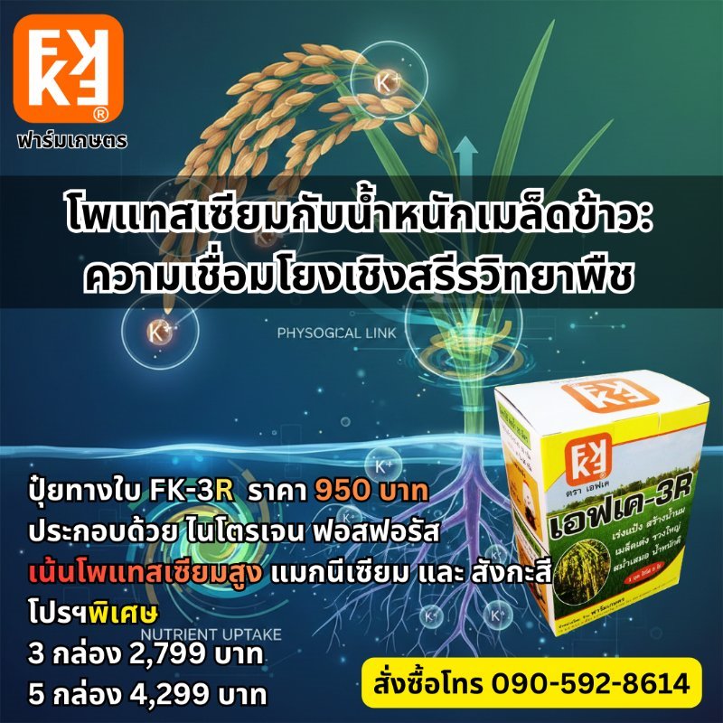 รูปภาพประกอบ